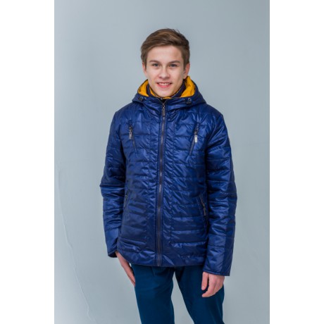 ���� �������. ������ ���������� ����� ������� ������. ������ �����-�����, ���������������, ���������� ����� ��