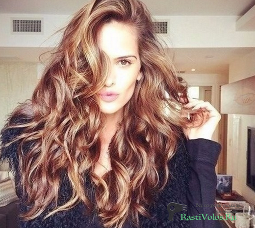 ����� ������ ����������� ������ - �����, ��������� ����