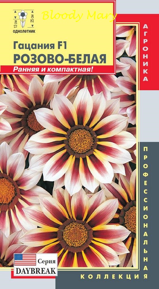 ���� �������. ���������� ������ - ������, ������, �����, �����. �������� ����������� ������. ��� �����. ����� 1. ����