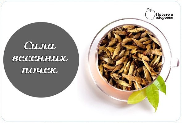 ���� �������� �����