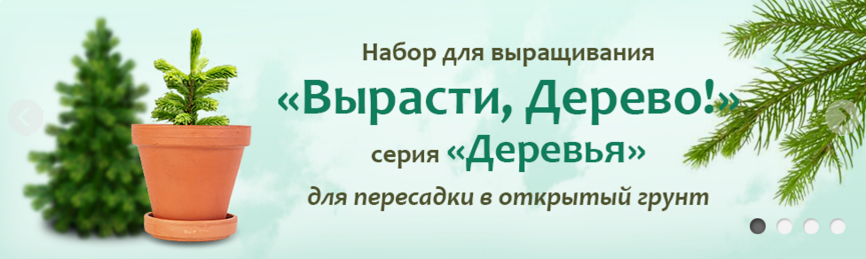 ���� �������. ���� ������������! 