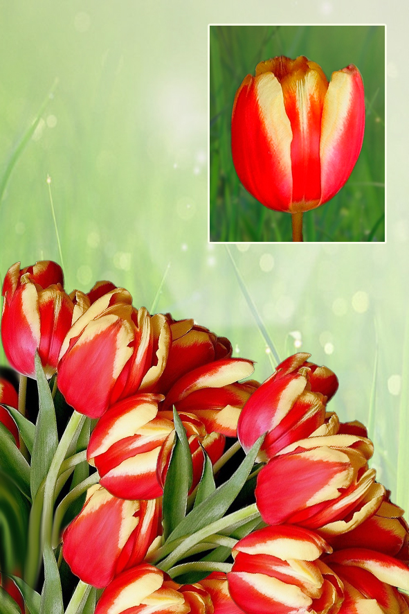 ���� �������. �������� ������� 2 ���. �������� � 8 �����. ����� 2