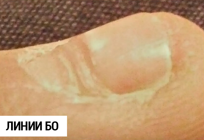 ����� ����� ����� �������� ���� �����