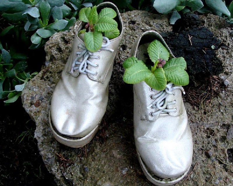 11 �������� ���������