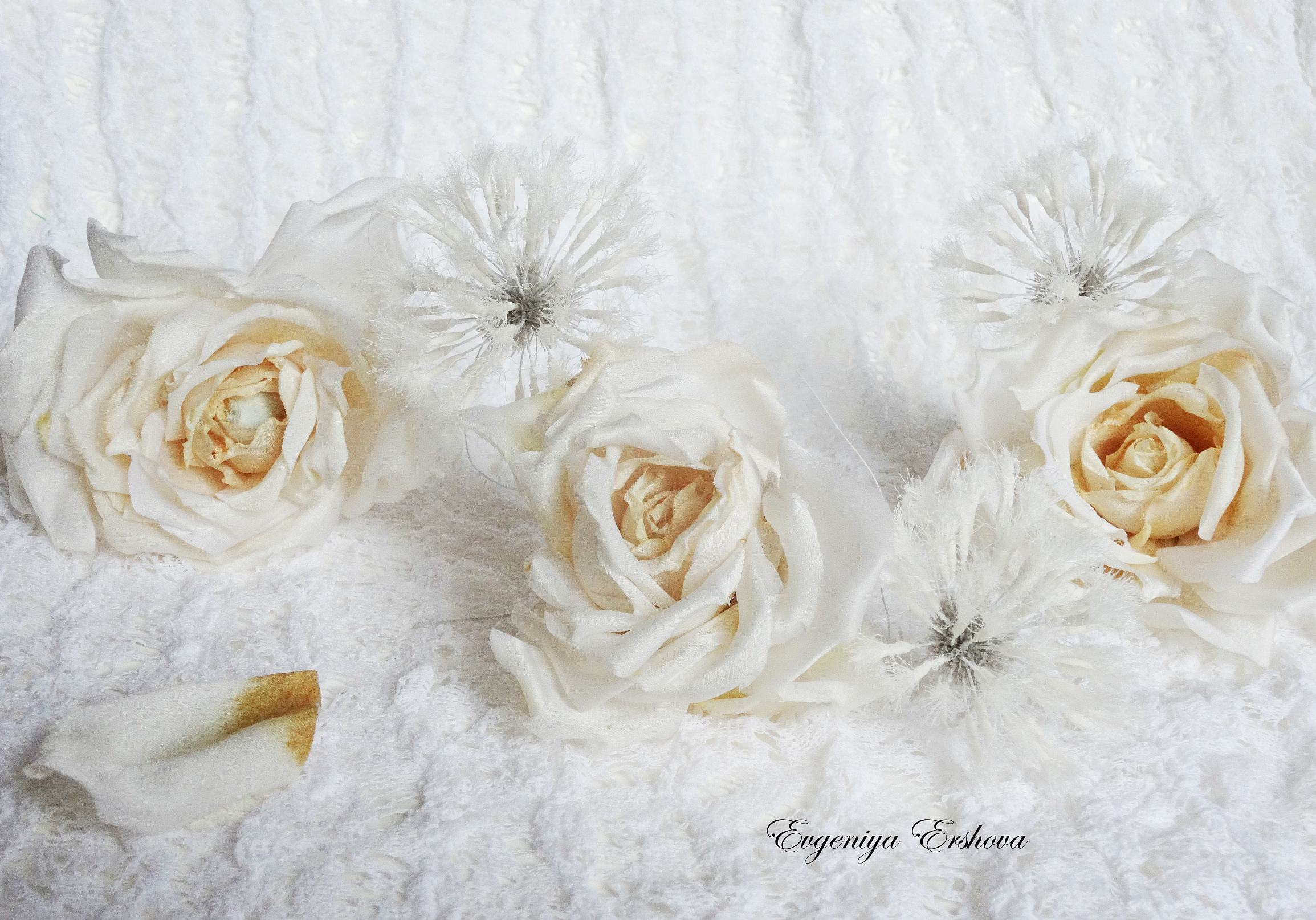 ���� ��������� ��������, ������ � ������������