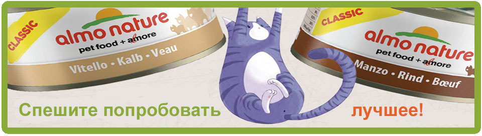 ���� �������. ����������������! ������ ������������ ������ �� ��������� �����. ��� ��. ���� 23.