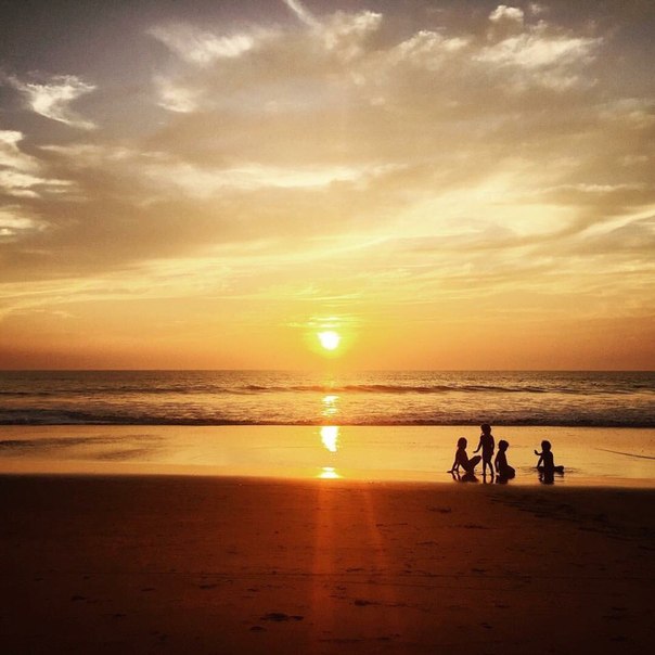 ���� ���������