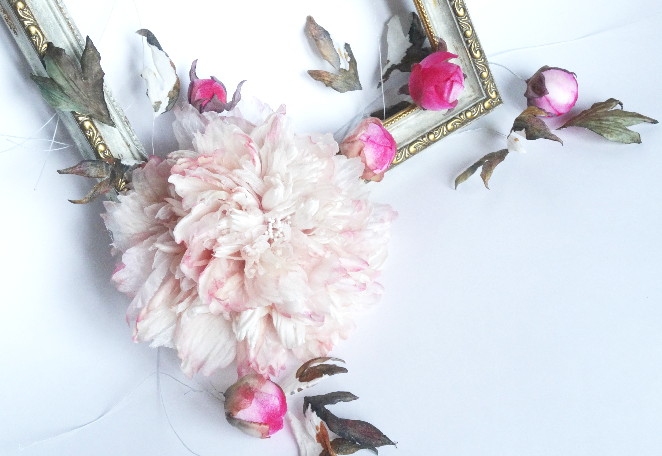 �������� ���� ����� ���� ������� � ������!:)