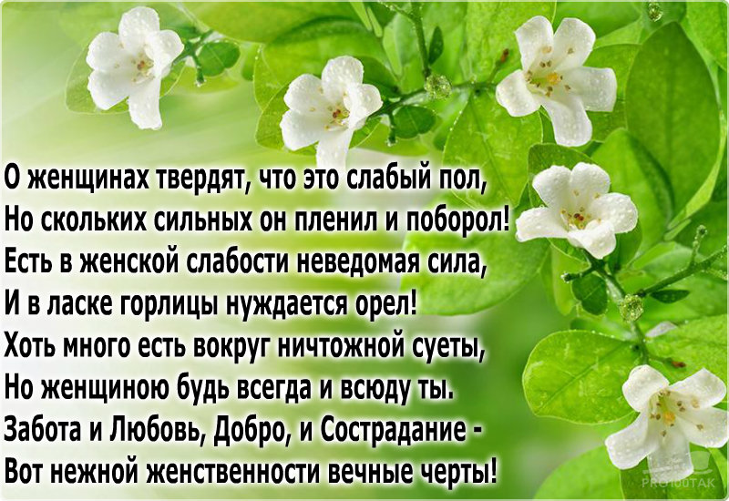 ���������� ���� � ������� ����