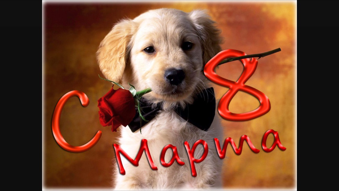 ���� ������� � ����������!!!!