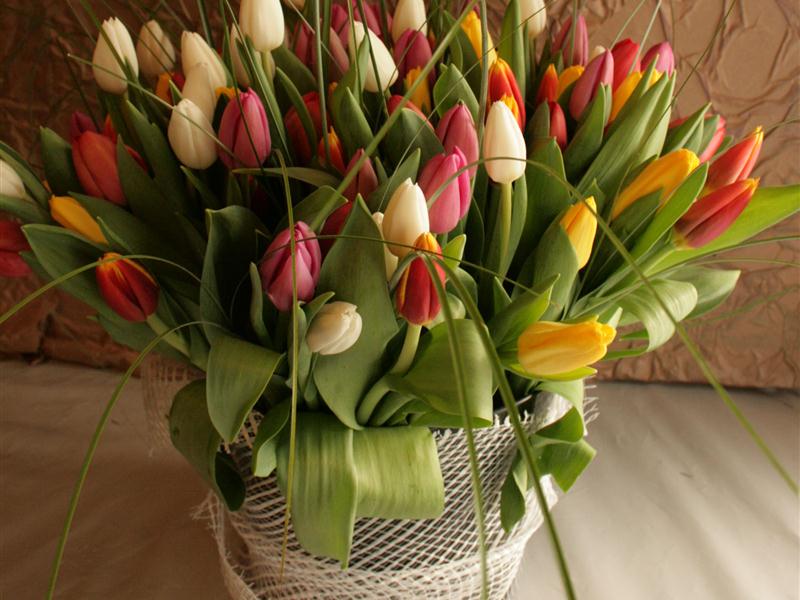 ������� � 8 ����� ��� �������!!!