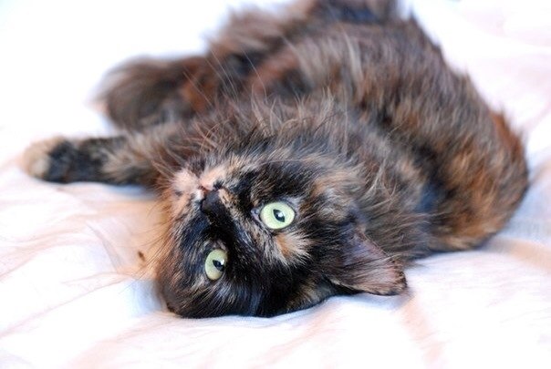 ���������� �������� ��������!