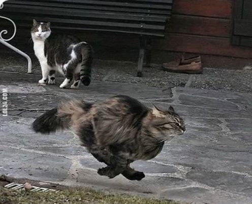 ����������� �����. ���� � ����������!