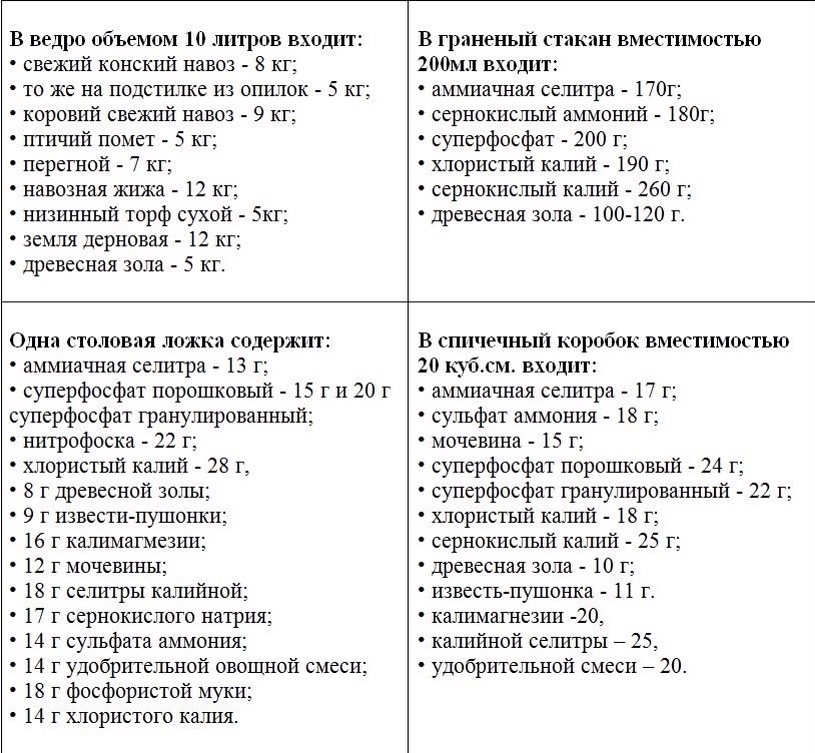 ����� ���������