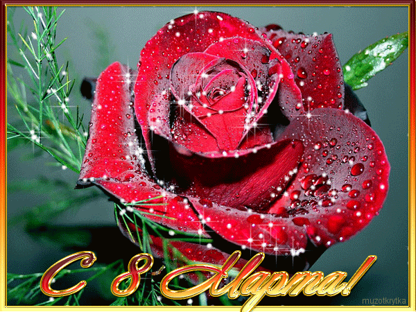 ���� �������, �������, ������ ���������� � ���� ���������� ����������! ����� � �����!