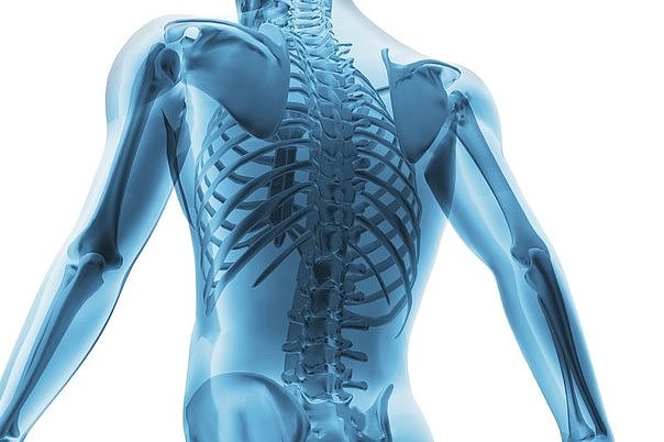 ������� ������ ������ ��������