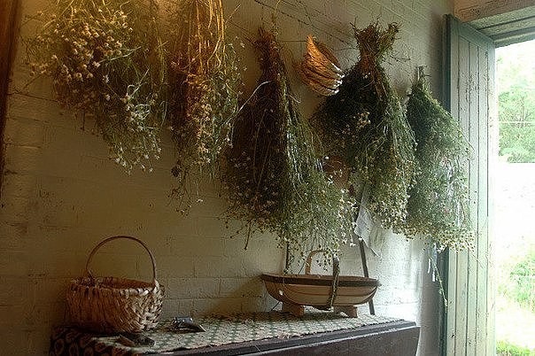 ������� ������������