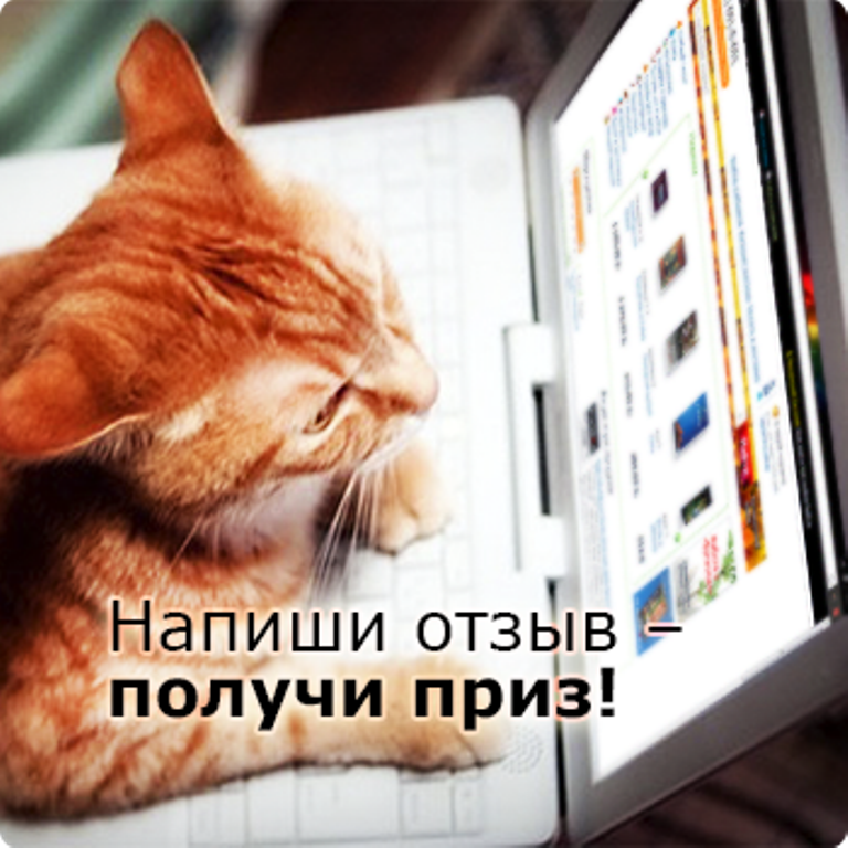 ���������� ����! ������� ������� �� ������ �������