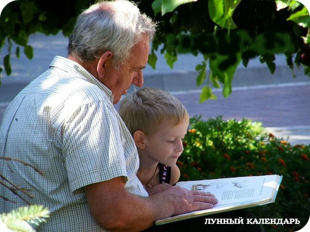 ��������� ��������, ���������� ������ ����.