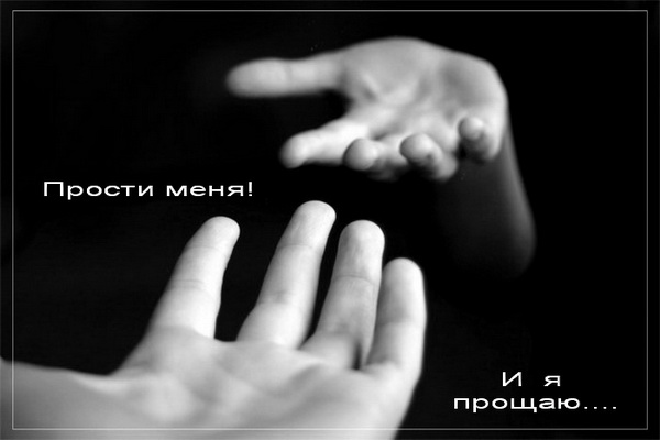 �������� �����������