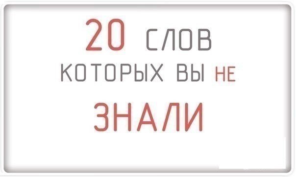 20 ����, ������� �� �� �����