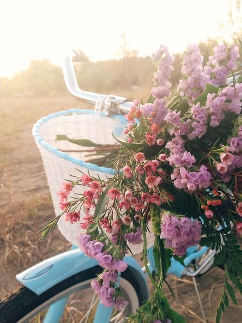 ������ �������� ����!