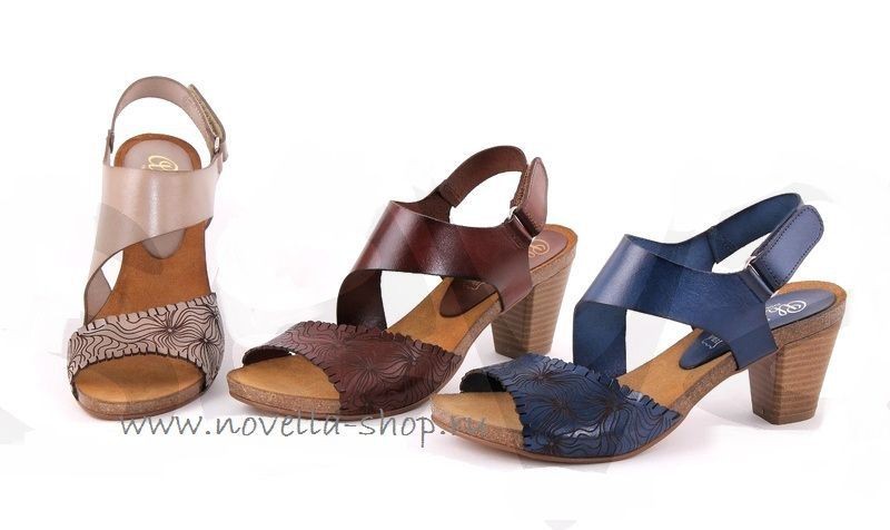 ���� �������. ������� Av@rc@-�� 1550, ��������, �����, ���������, ����. ������ ��������� ��������� �����, ����������� ����. ��� �����-12