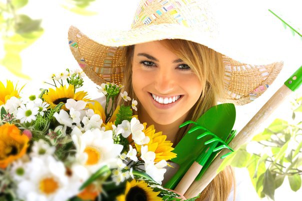 �������� ���� ��������� ��� ��������� � �����������