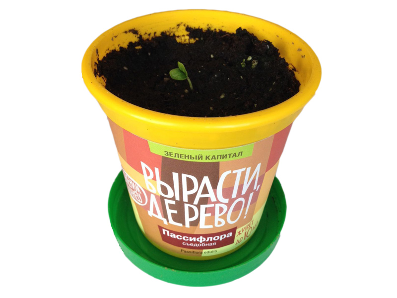 ��������������� � ���! �������� ������� )))