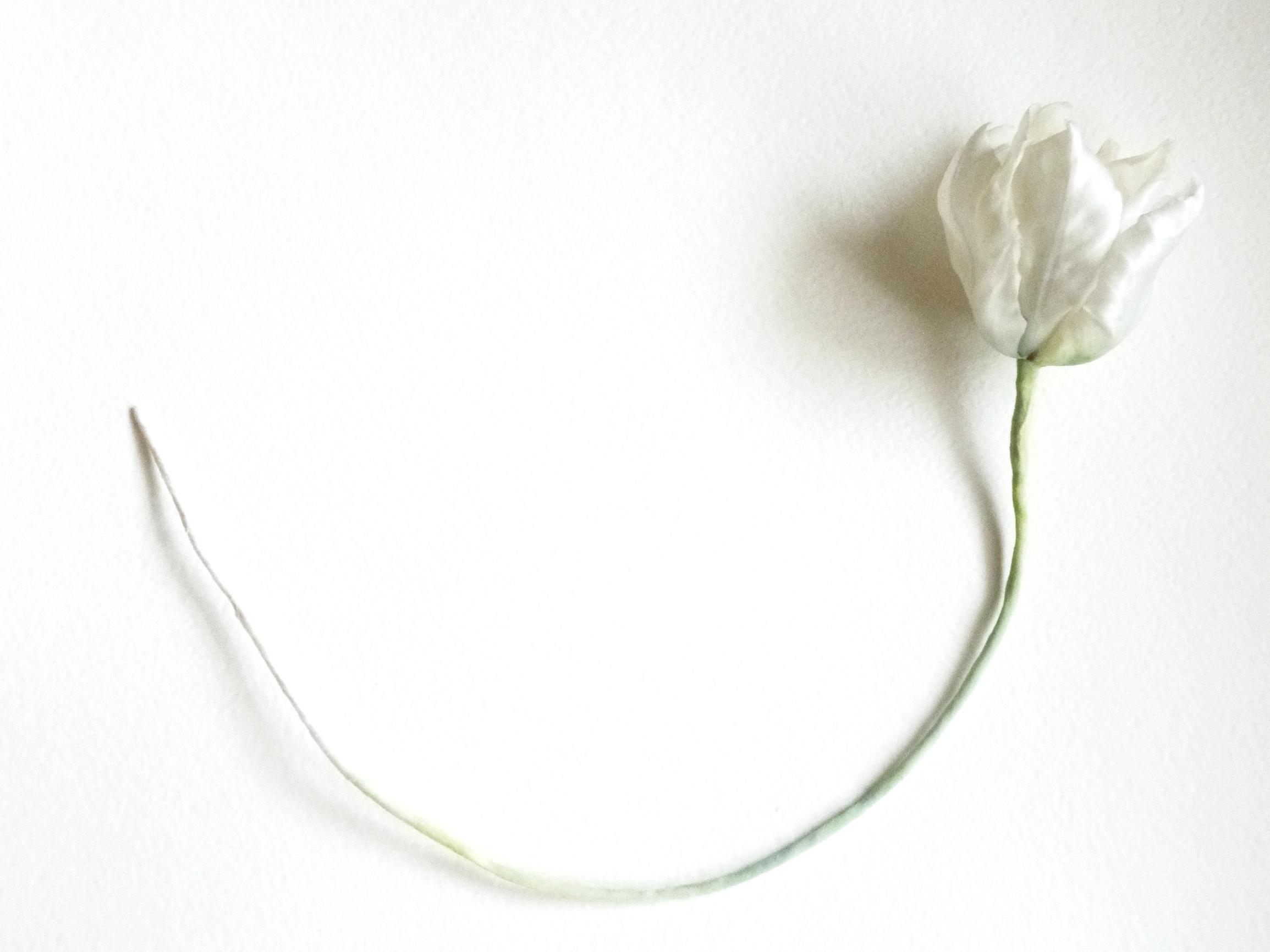 ������� �������� ���� ���� ������ ������