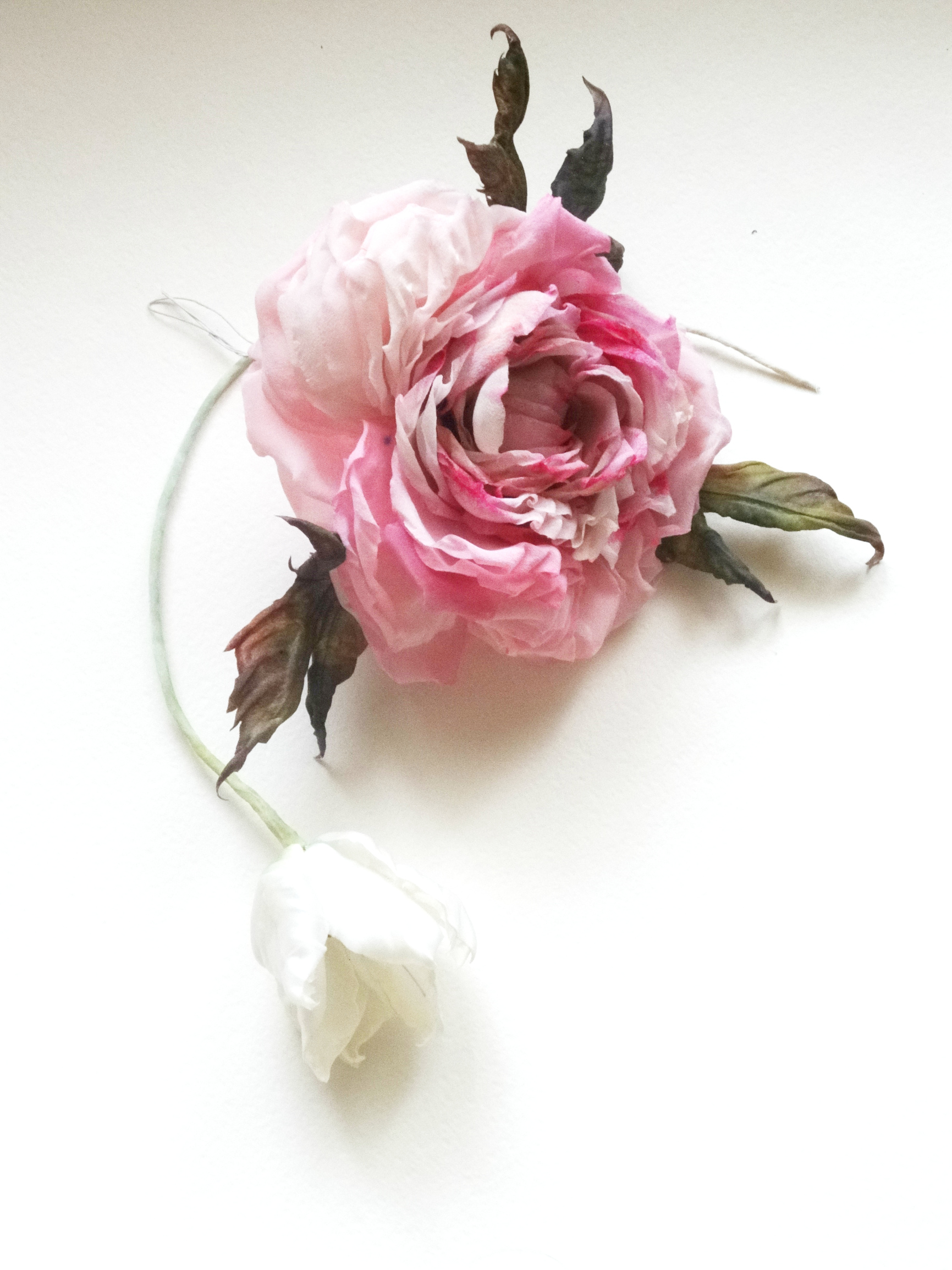 ������� � ���� ���� ������ ������