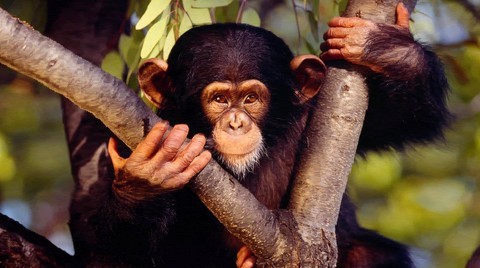 ��������: �������� � ������ ������������� ������� �������?!