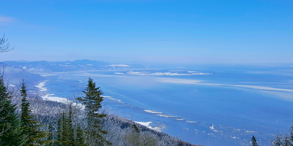 ������ ��������� ������������ ������ �����