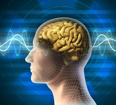 ����� � ������ ���������