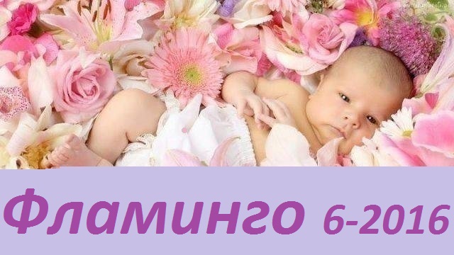 ���� �������. ������� ������ ��������-6-2016. ����������� ����� ������� ��� �����. ������� ��������, ���������� ������