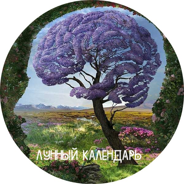 10 �������� ����������