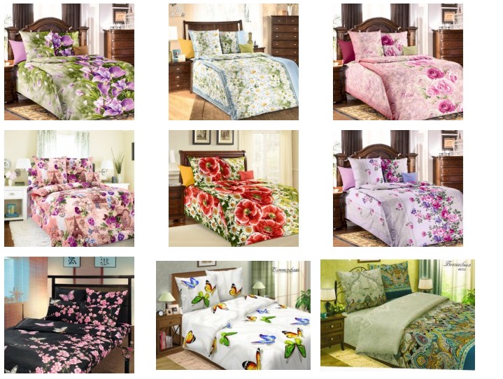 ���� �������. ���������� �����, ������������, �������, �����, ���������, ���������. ������� ����� ������� 1,5-�������� ���������� �� �������� �����