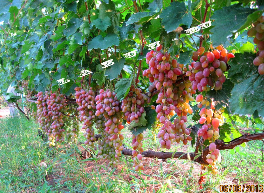 ���� �������. �������� ��� �������� �� ��������. ����������� ����! ������ �������� ������ ��� ����� ���������!! �������� ������������� �������!!! ���������� ����������!!! ������������ ���� � ���� ����!! �� ����� ����� �� �� ������ ����� � �������!