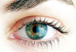 ������ ������������ � �������������