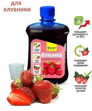 ��� ��������! �� ��� �������! ��������� � �� ��� �������� - 36!