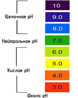 ������������� ����������� ����� ��� ��������� ��������