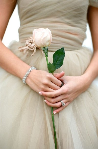 ������� ���� �� �������