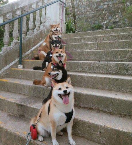 �������� �� �����-������!