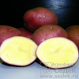 �������� �������� ��������� ����� �����!