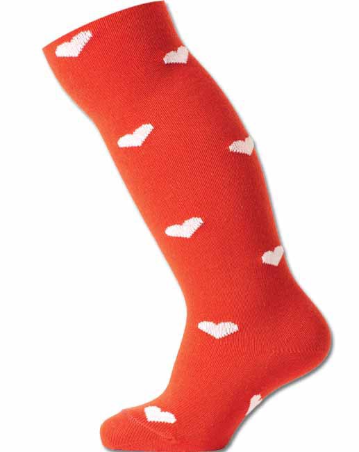 ���� �������. ���������� �������� �������. �������.