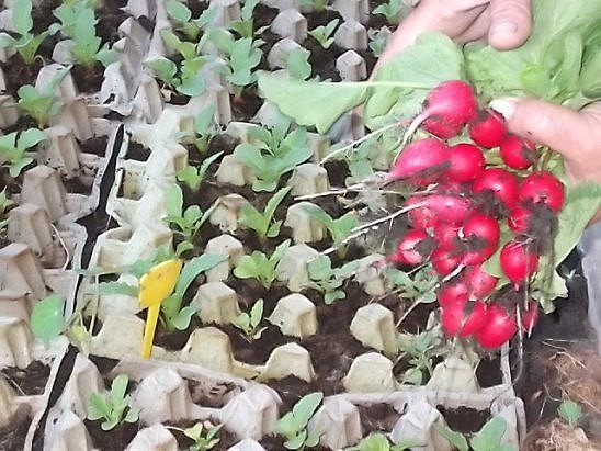 ������� � ������ ��������