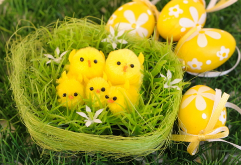 ������ � �����.