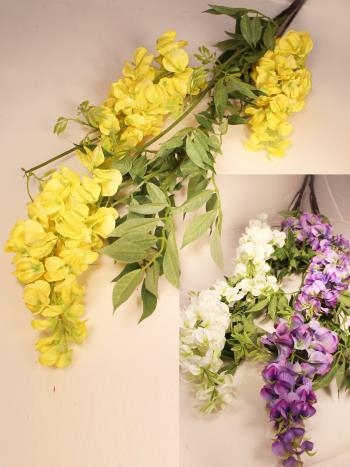 ���������� ��������� ����������� � ��������� ����������! ����������� �����! ���� ������ �� 25%. ����� �� ������� ������������� �������, ��������� �����, ����������� �������, �����. ����� ������������ ����, ������, �����. ����� 12.