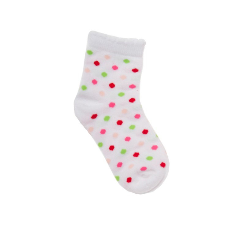 ���� �������. �����, ��������, �����, ������, ���������� � ����������. ��������� ��������� ������� ������ 