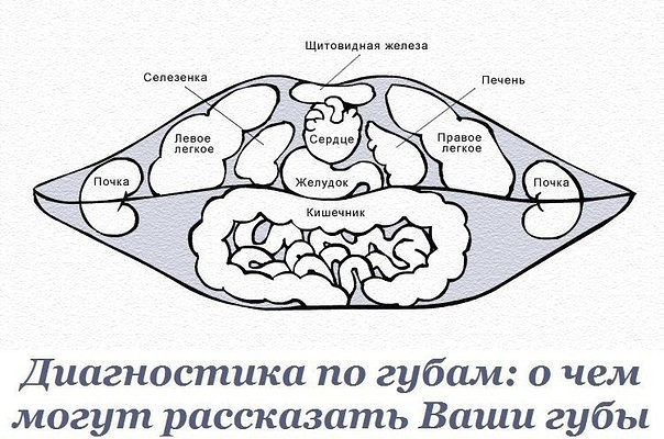 ����������� �� �����: � ��� ����� ���������� ���� ����